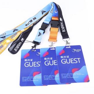 Keychain for phone lanyard